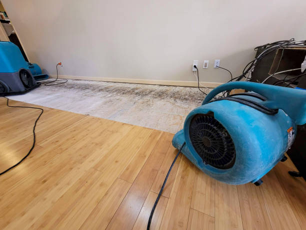 Professional Structural Drying technician working in Summerfield, NC